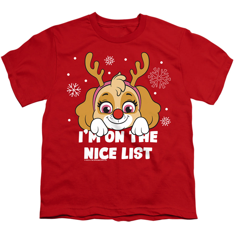 PAW PATROL/SKYE NICE CHRISTMAS LIST