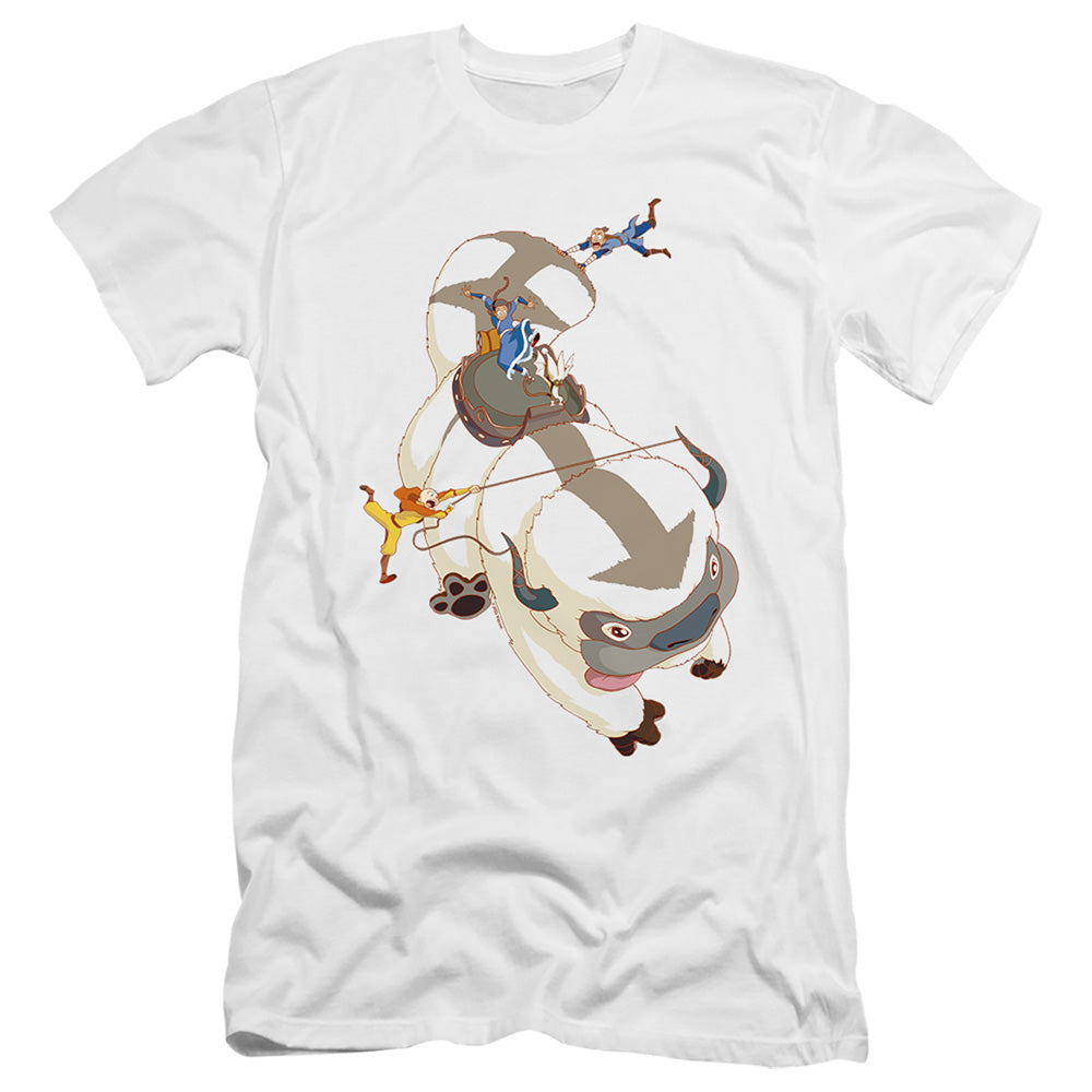 AVATAR THE LAST AIRBENDER/HANG ON APPA