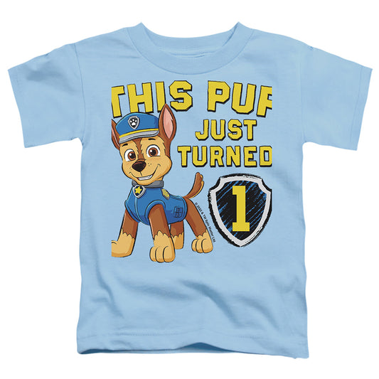 PAW PATROL/THIS PUP'S BIRTHDAY