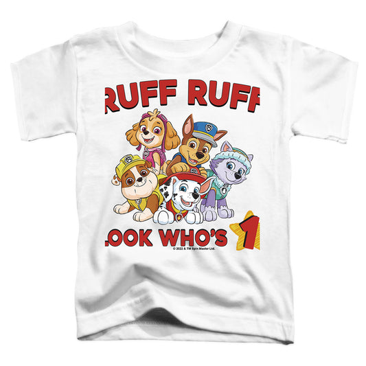 PAW PATROL/RUFF RUFF BIRTHDAY