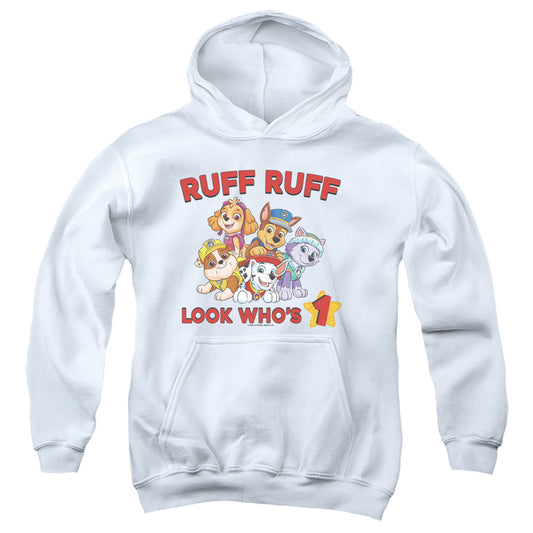 PAW PATROL/RUFF RUFF BIRTHDAY