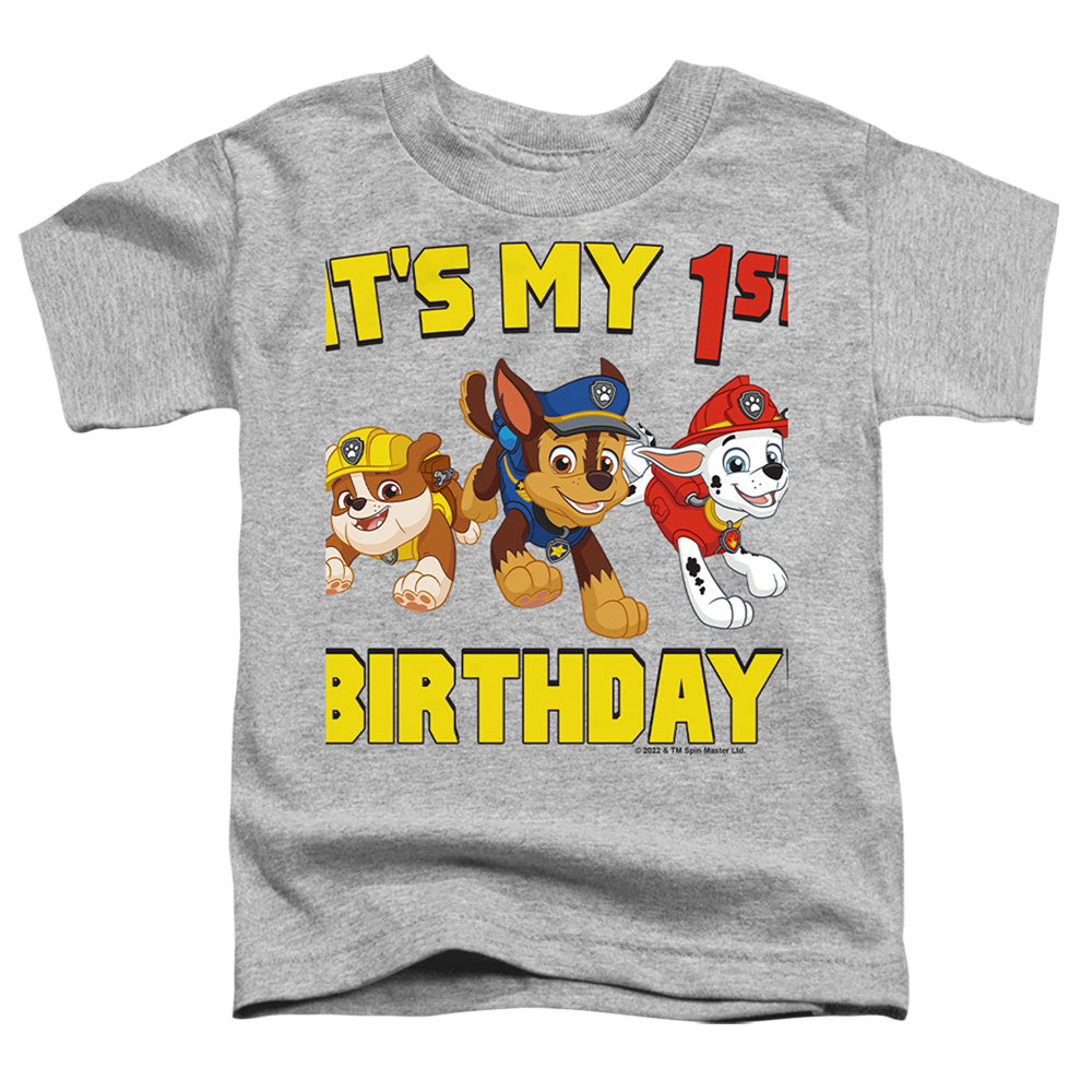PAW PATROL/GROUP HAPPY BIRTHDAY