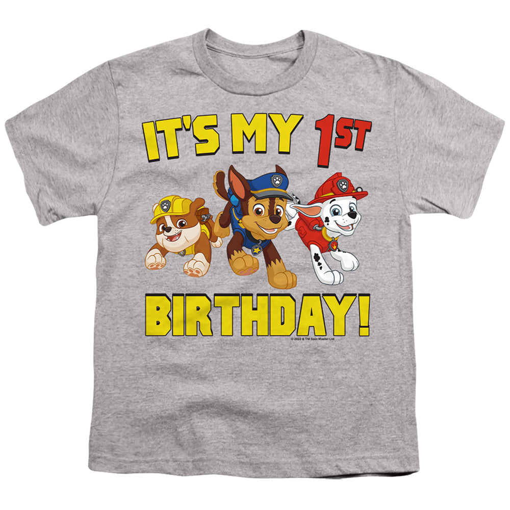 PAW PATROL/GROUP HAPPY BIRTHDAY