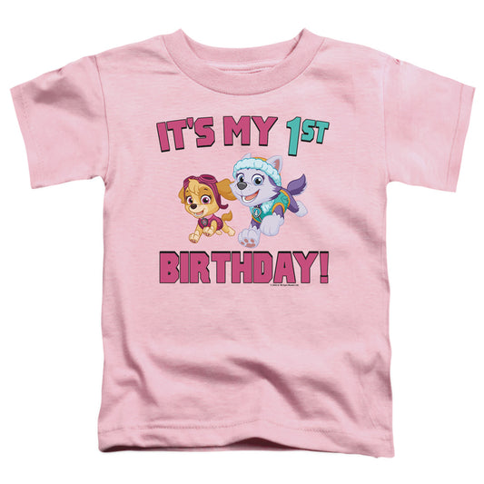 PAW PATROL/GIRL GROUP HAPPY BIRTHDAY