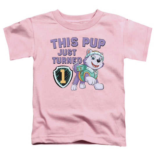 PAW PATROL/THIS PUP GIRL BIRTHDAY