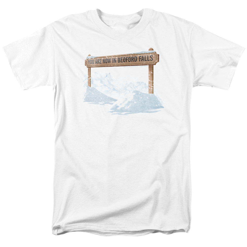 IT'S A WONDERFUL LIFE/BEDFORD FALLS