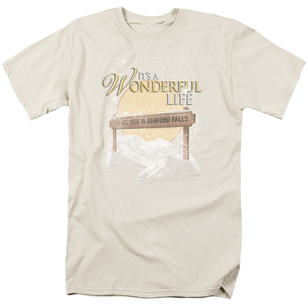 IT'S A WONDERFUL LIFE/WONDERFUL STORY
