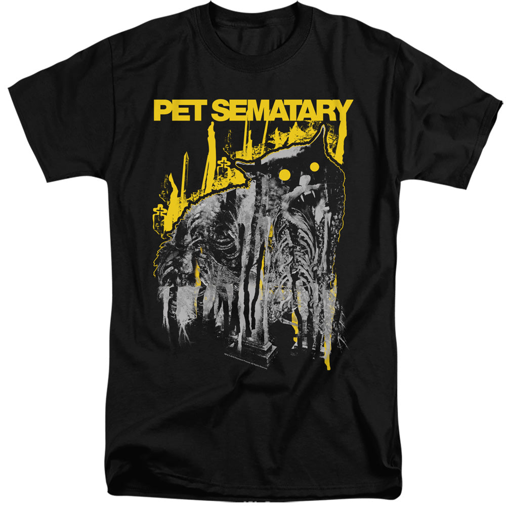 PET SEMATARY/DECAY