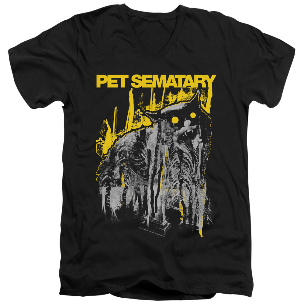 PET SEMATARY/DECAY