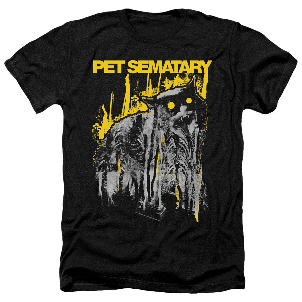 PET SEMATARY/DECAY