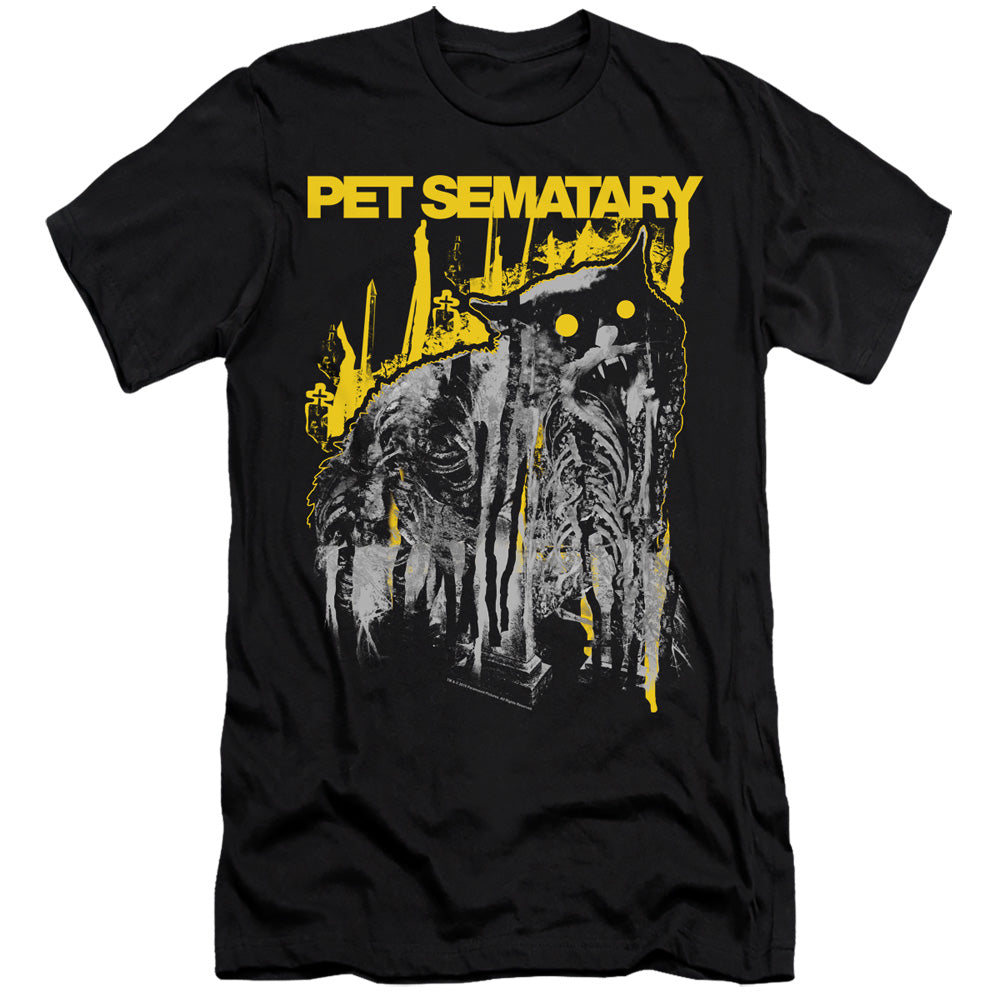 PET SEMATARY/DECAY