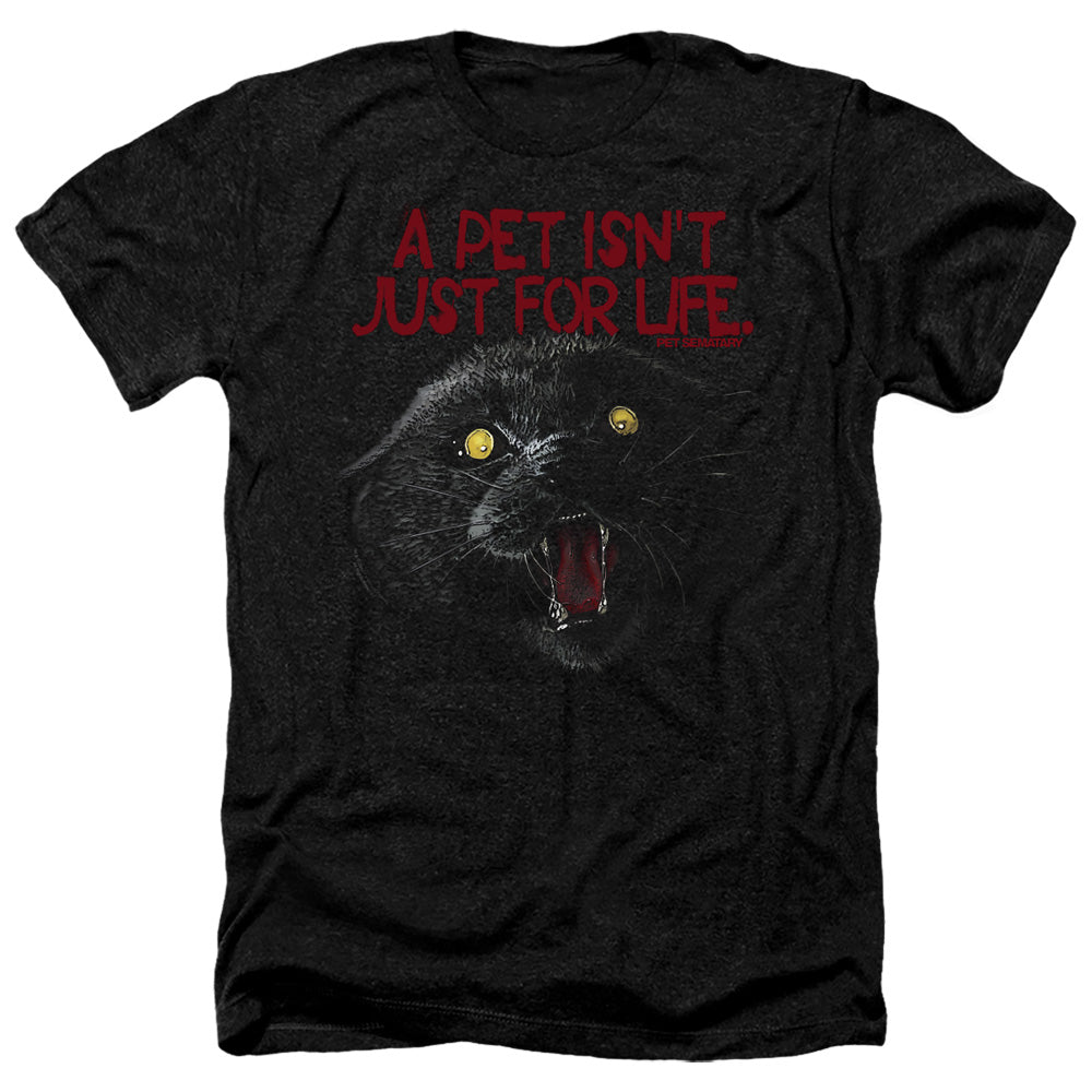 PET SEMATARY/I SURVIVED