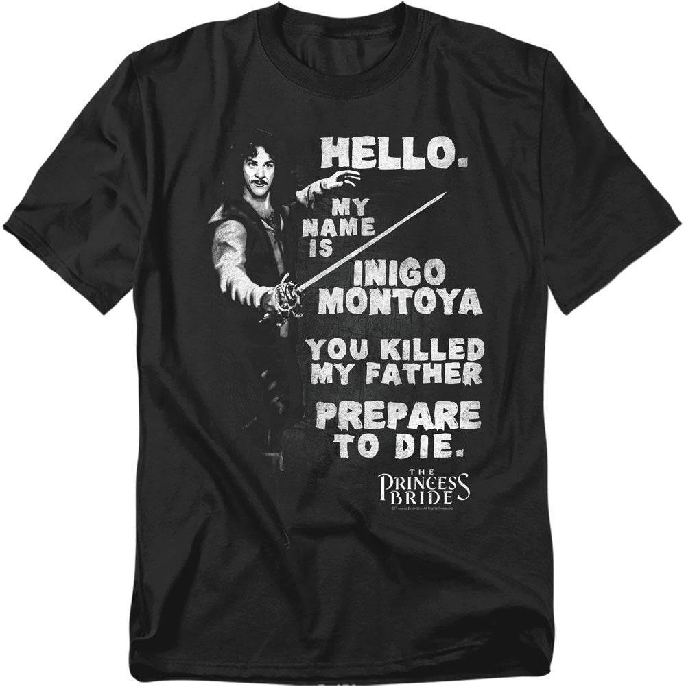 PRINCESS BRIDE/HELLO AGAIN