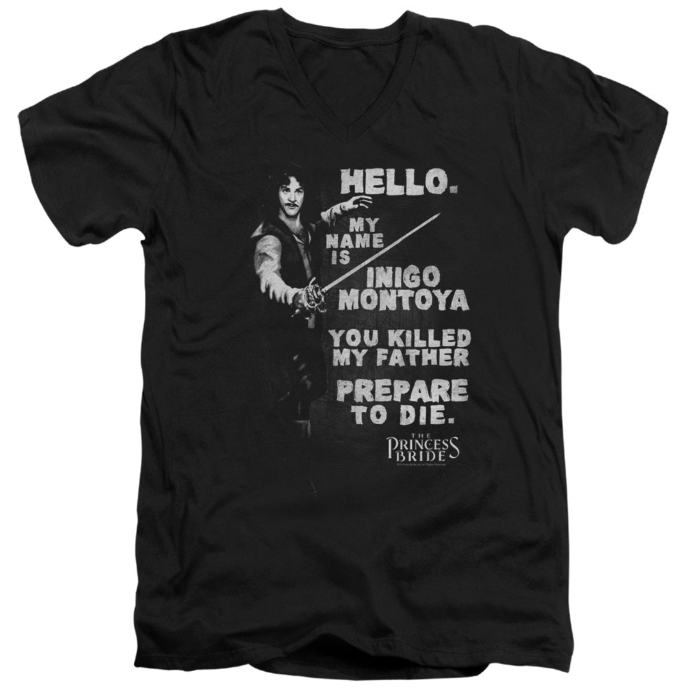 PRINCESS BRIDE/HELLO AGAIN