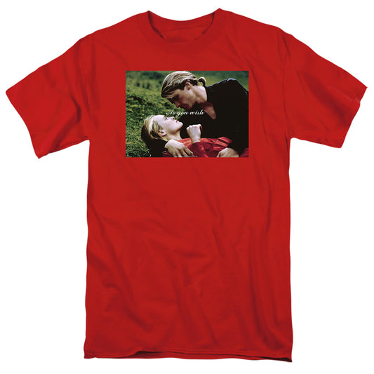 PRINCESS BRIDE AS YOU WISH