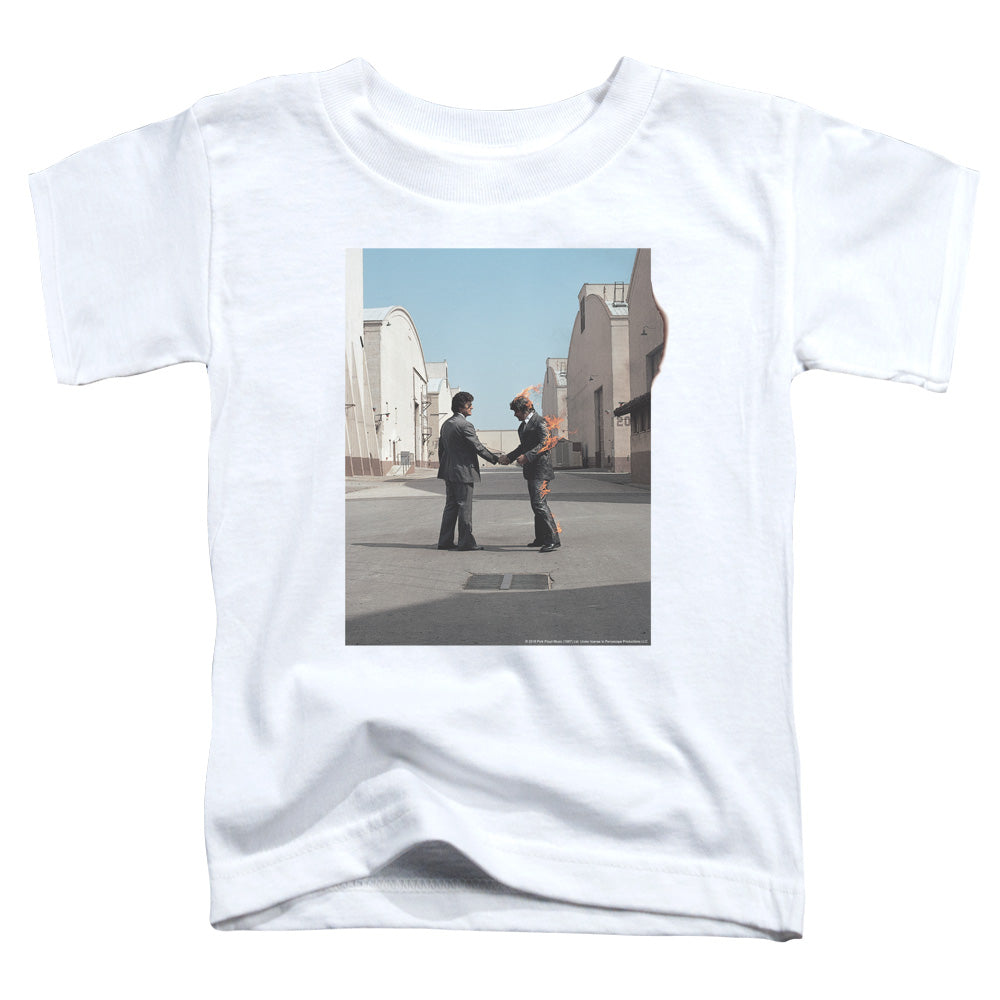 PINK FLOYD/WISH YOU WERE HERE