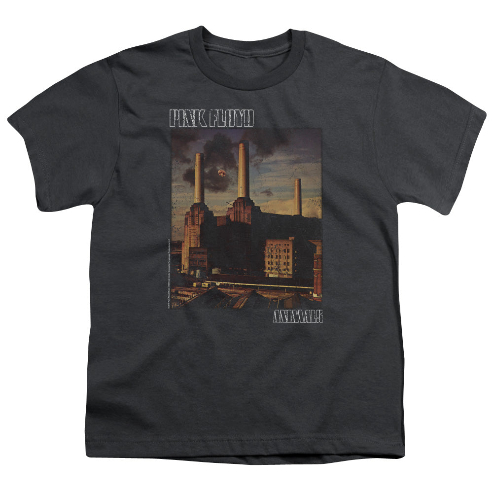 PINK FLOYD/FADED ANIMALS