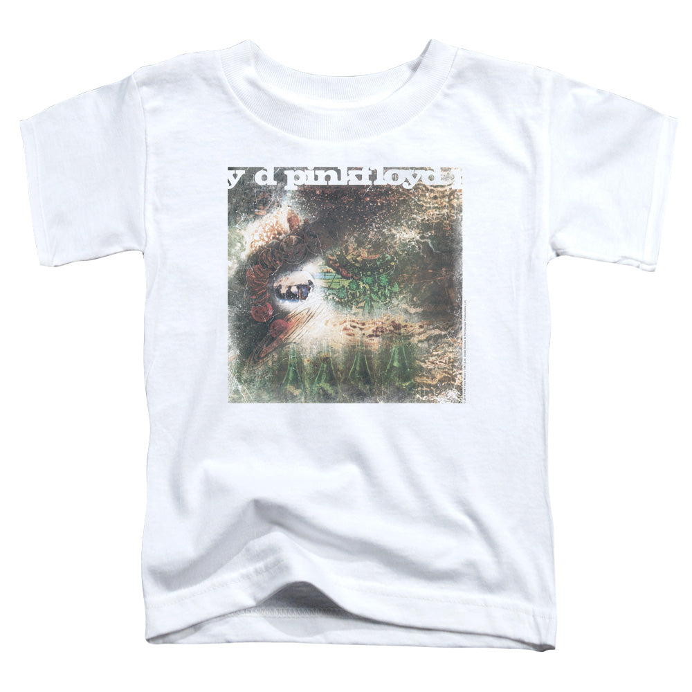 PINK FLOYD/SAUCERFUL OF SECRETS