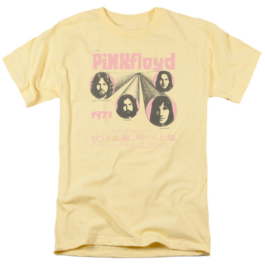 PINK FLOYD/ONE OF THESE DAYS