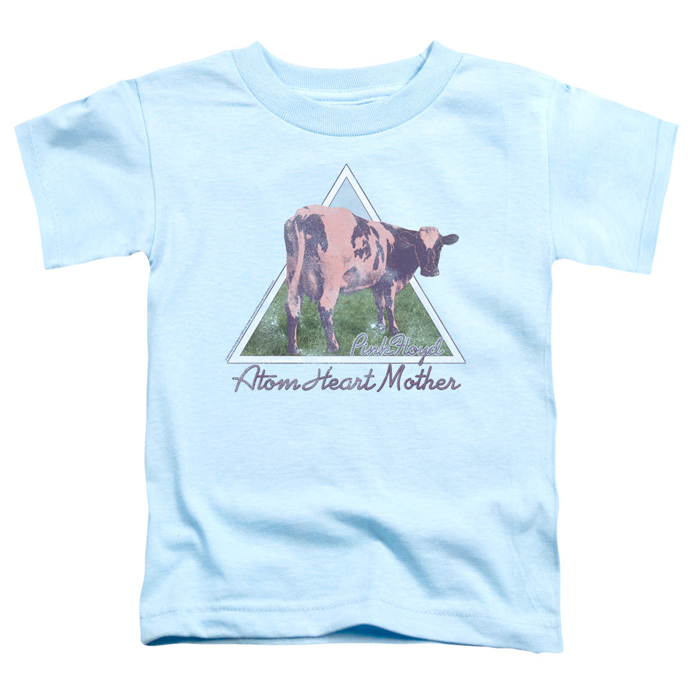 PINK FLOYD/ATOM MOTHER HEART PYRAMID