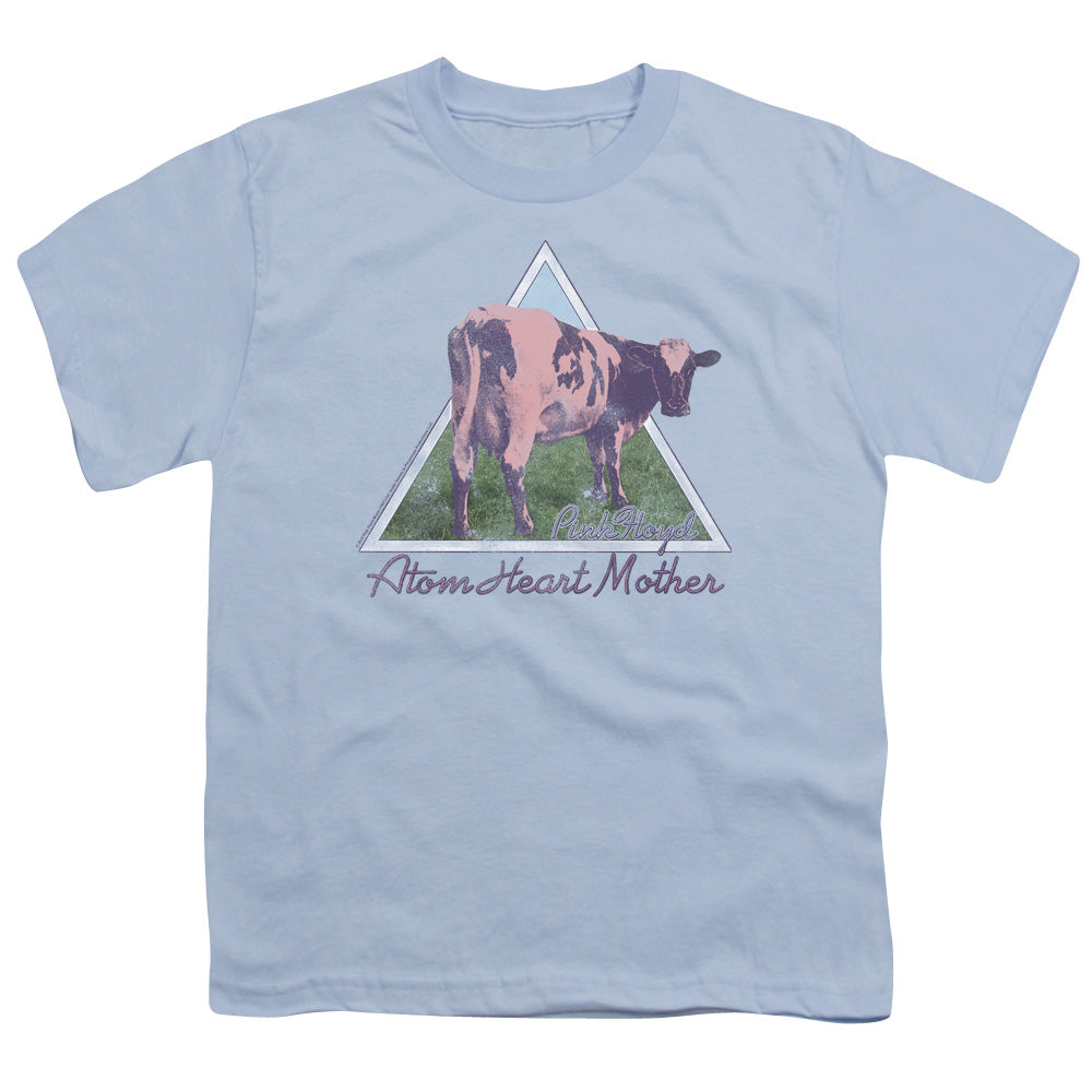 PINK FLOYD/ATOM MOTHER HEART PYRAMID