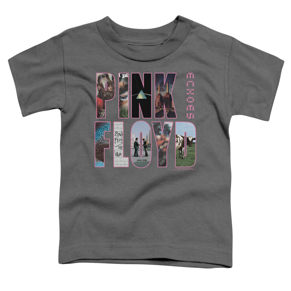PINK FLOYD/COVER