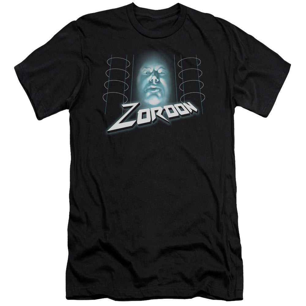 POWER RANGERS/ZORDON