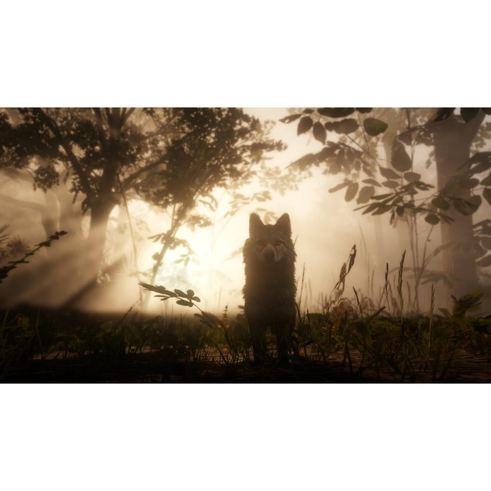 Red Dead Redemption II - PS4
