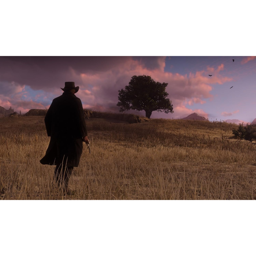 Red Dead Redemption II - PS4