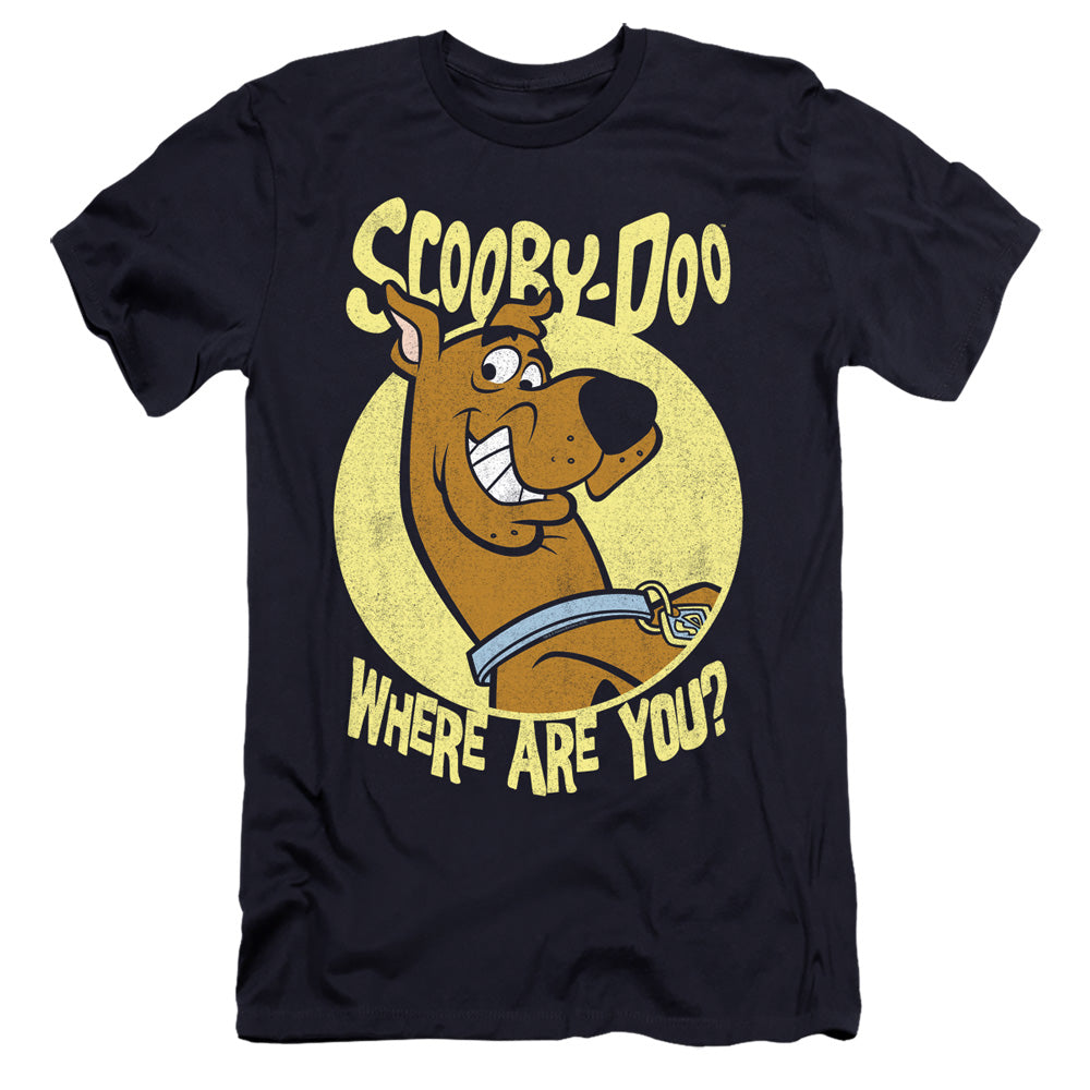 SCOOBY DOO/WHERE ARE YOU