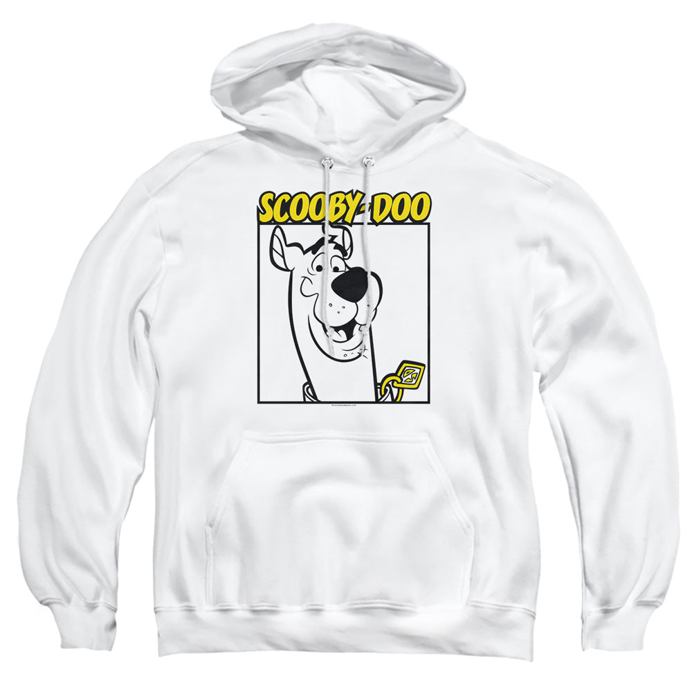 SCOOBY DOO/SCOOBY SQUARE