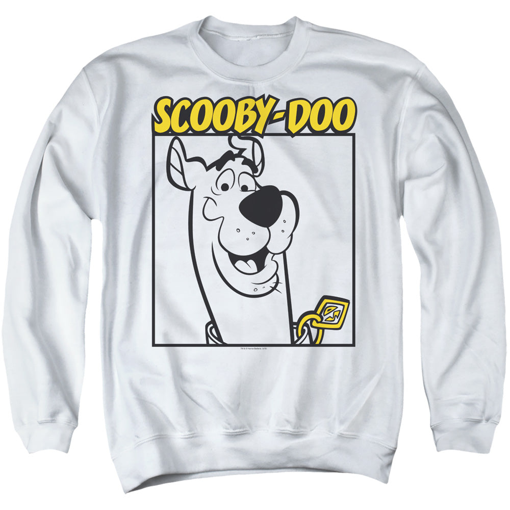 SCOOBY DOO/SCOOBY SQUARE