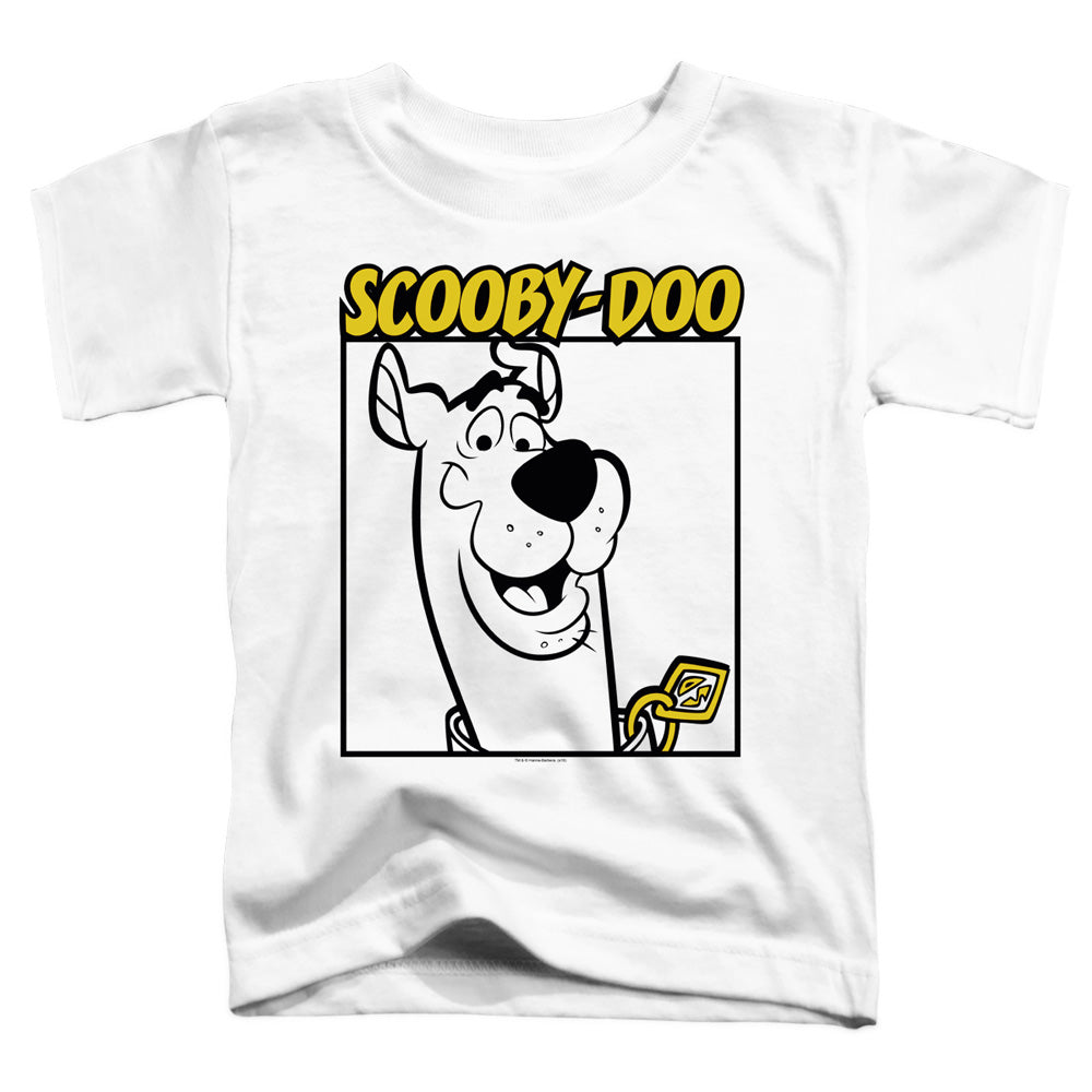 SCOOBY DOO/SCOOBY SQUARE