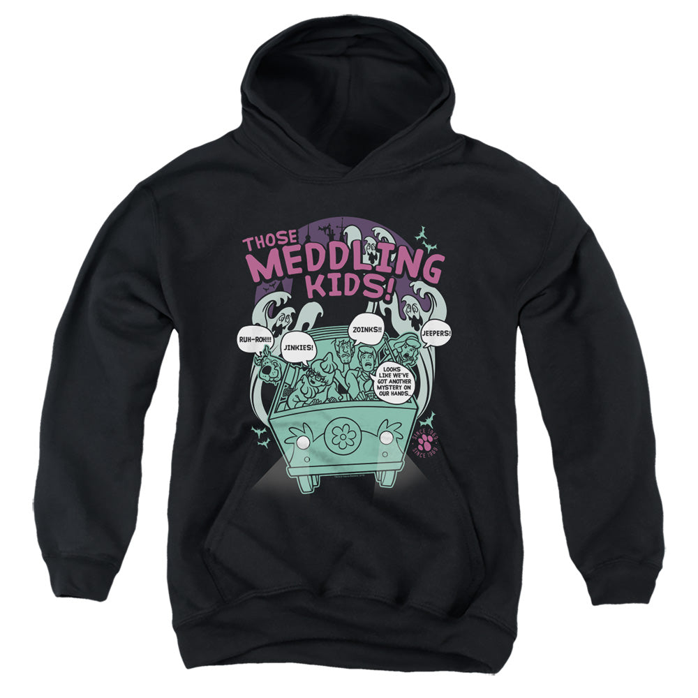 SCOOBY DOO/MEDDLING SINCE 1969