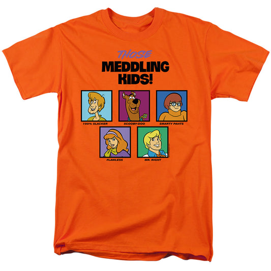 SCOOBY DOO/THOSE MEDDLING KIDS