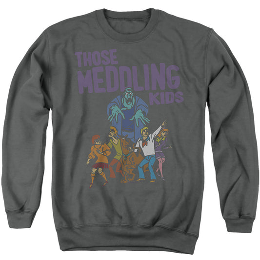 SCOOBY DOO/THE DEATH MEDDLE