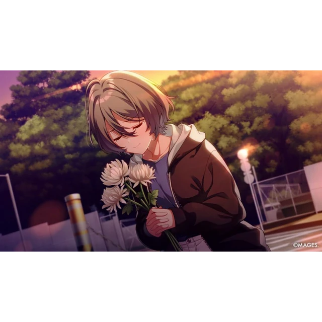 SINce Memories: Off the Starry Sky - Switch