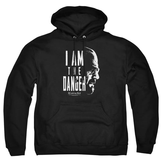 BREAKING BAD/THE DANGER