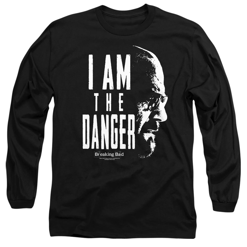 BREAKING BAD/THE DANGER