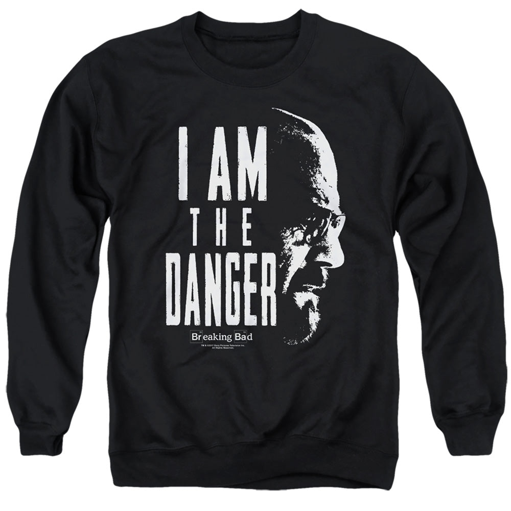 BREAKING BAD/THE DANGER