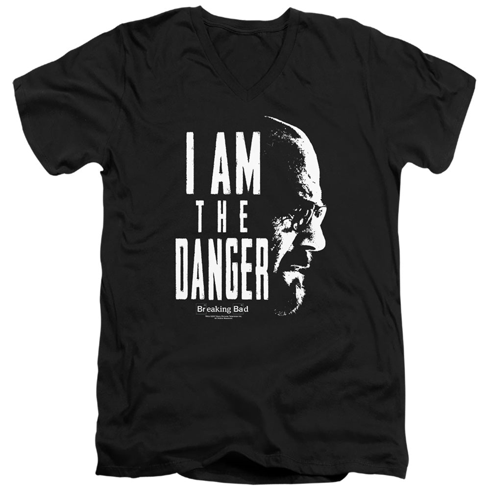 BREAKING BAD/THE DANGER