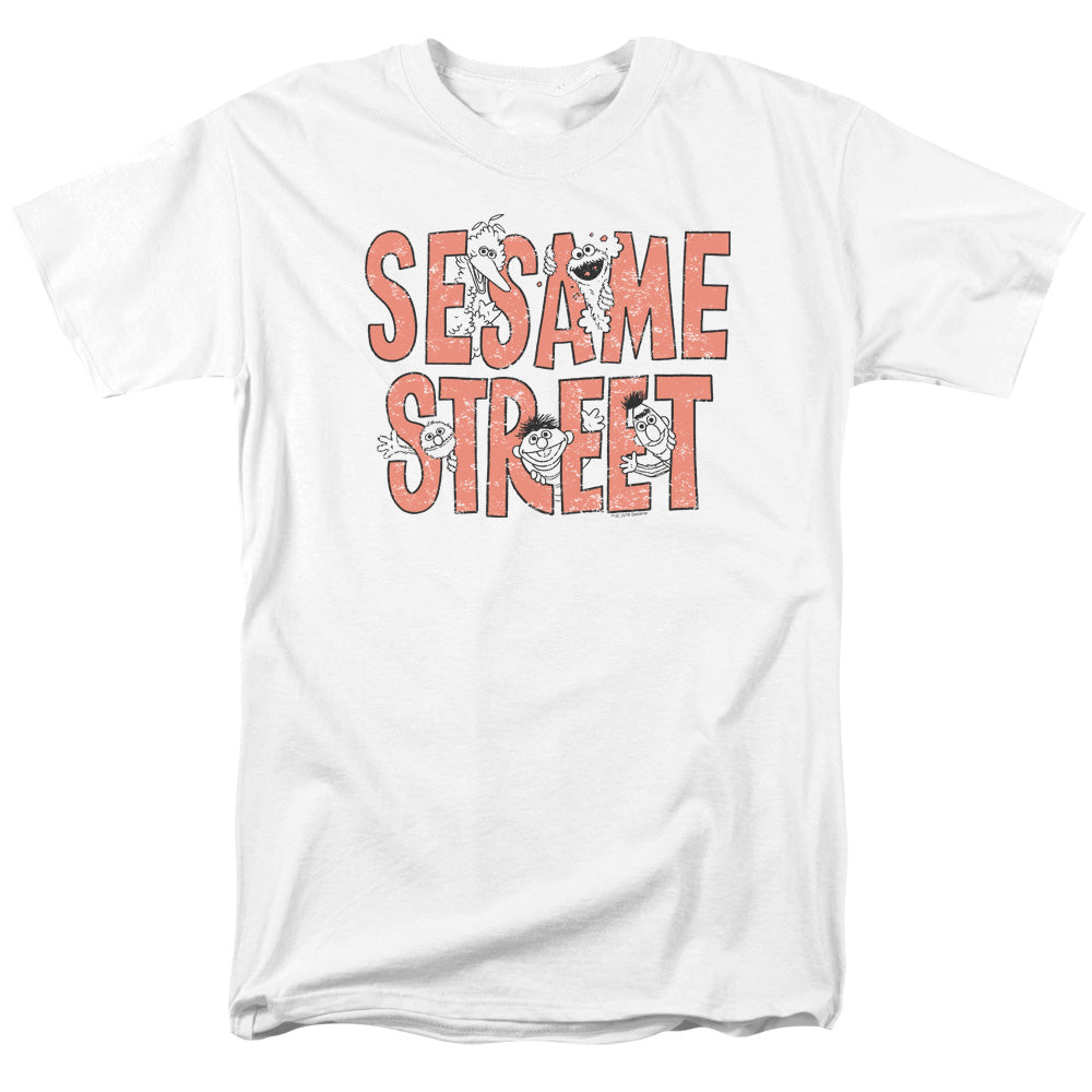 SESAME STREET/IN LETTERS