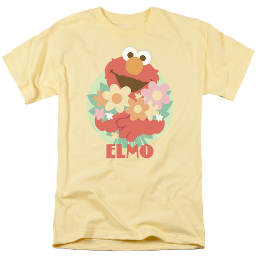 SESAME STREET/FLOWERS FOR YOU