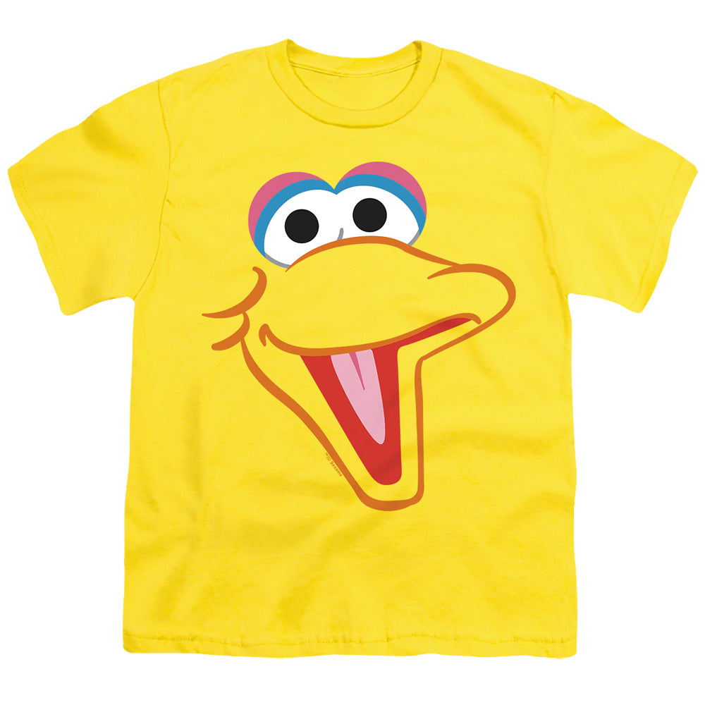 SESAME STREET/BIG BIRD HEAD