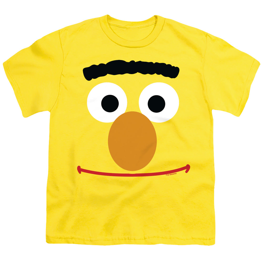 SESAME STREET/BERT FACE