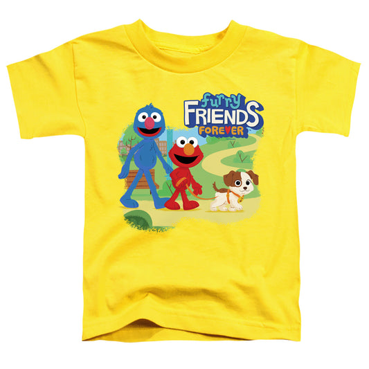 SESAME STREET FURRY FRIENDS FOREVER/TAKE A WALK