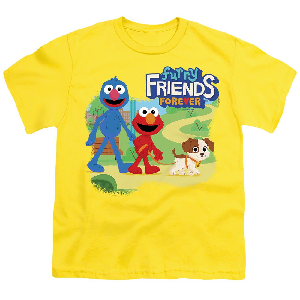 SESAME STREET FURRY FRIENDS FOREVER/TAKE A WALK