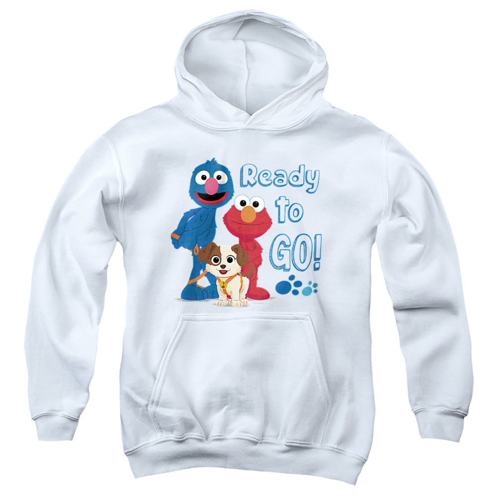 SESAME STREET FURRY FRIENDS FOREVER/READY TO GO