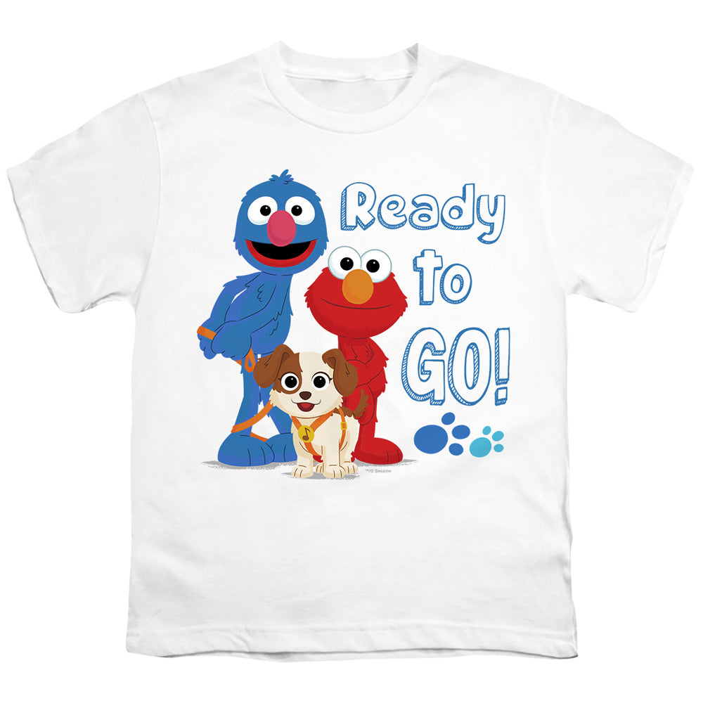 SESAME STREET FURRY FRIENDS FOREVER/READY TO GO