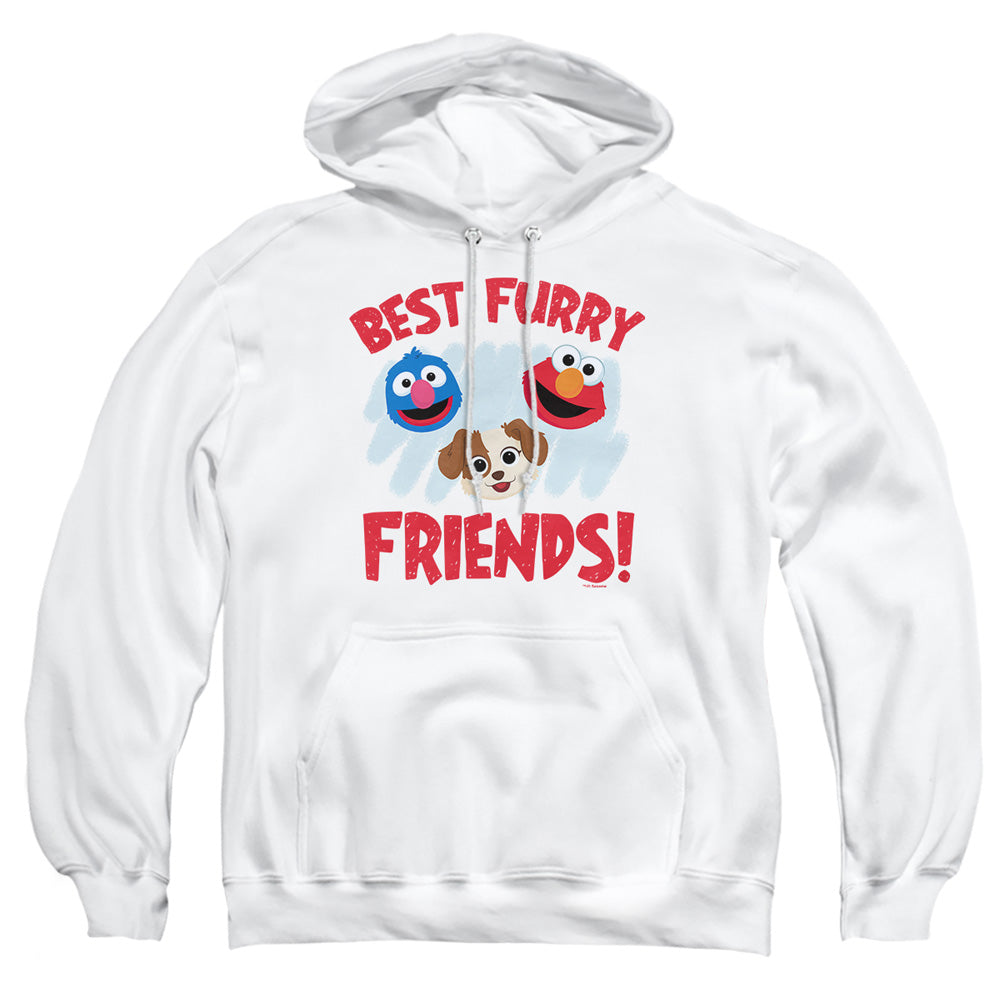 SESAME STREET FURRY FRIENDS FOREVER/BEST FURRY FRIENDS